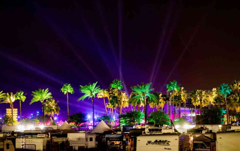 Palm trees and purple lights