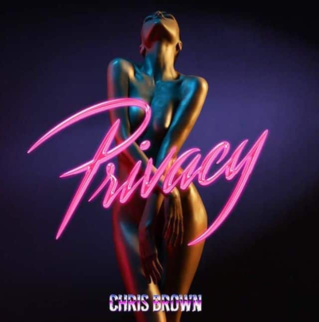 Album cover Chris Brown Privacy single