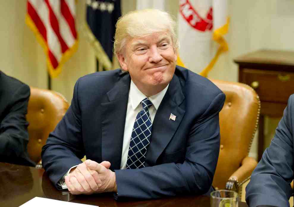 Donald Trump smiling smugly at table