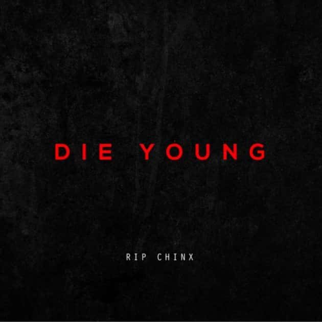 Album cover Chris Brown and Nas 'Die Young'