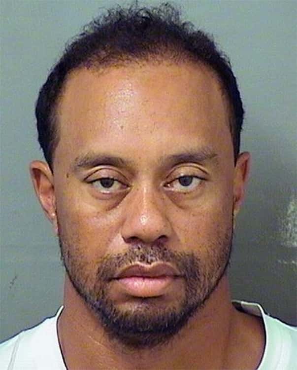 Tiger Woods Mug Shot