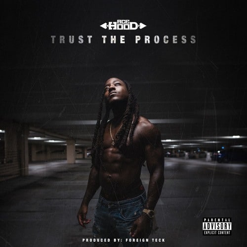 Album cover Ace Hood 'Trust the Process'