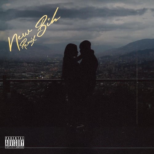 Cover Art of New Bih Remix