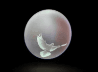 Kanye West Album Cover