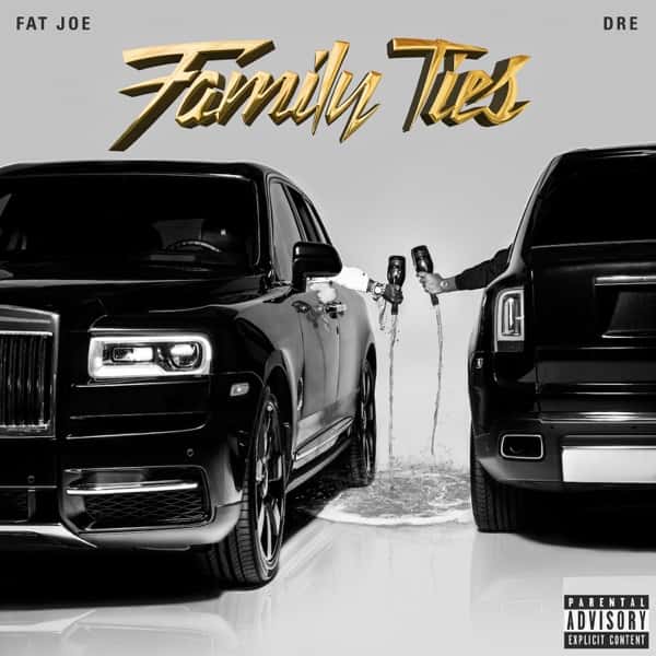 Fat Joe 'Family Ties' album cover