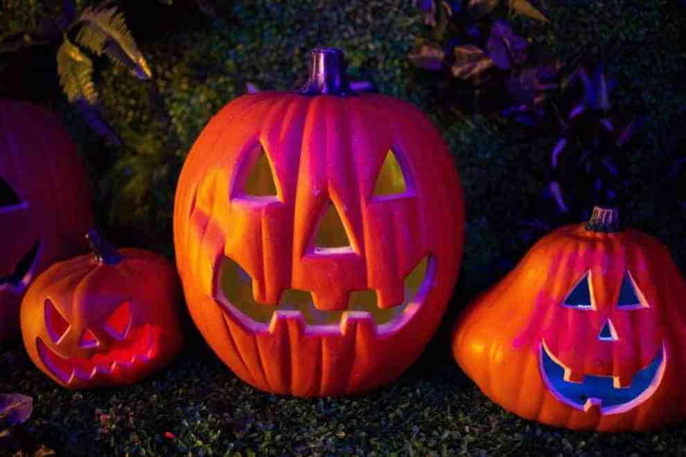 Carved Smiling Orange Pumpkins