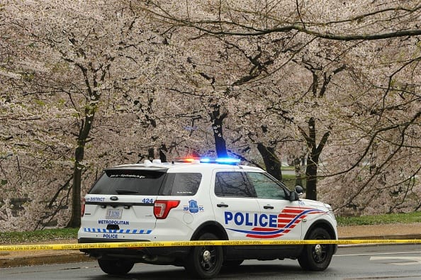 A police car stops beside blooming cherry trees at Tidal Basin