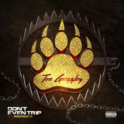 Tee Grizzley - Don't Even Trip (artwork)