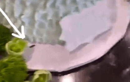 Dream Kardashian Birthday Cake with cockroach