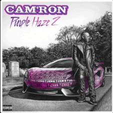 Cover of Cam'Ron Purple Haze 2