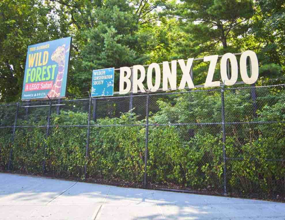 Bronx Zoo NYC