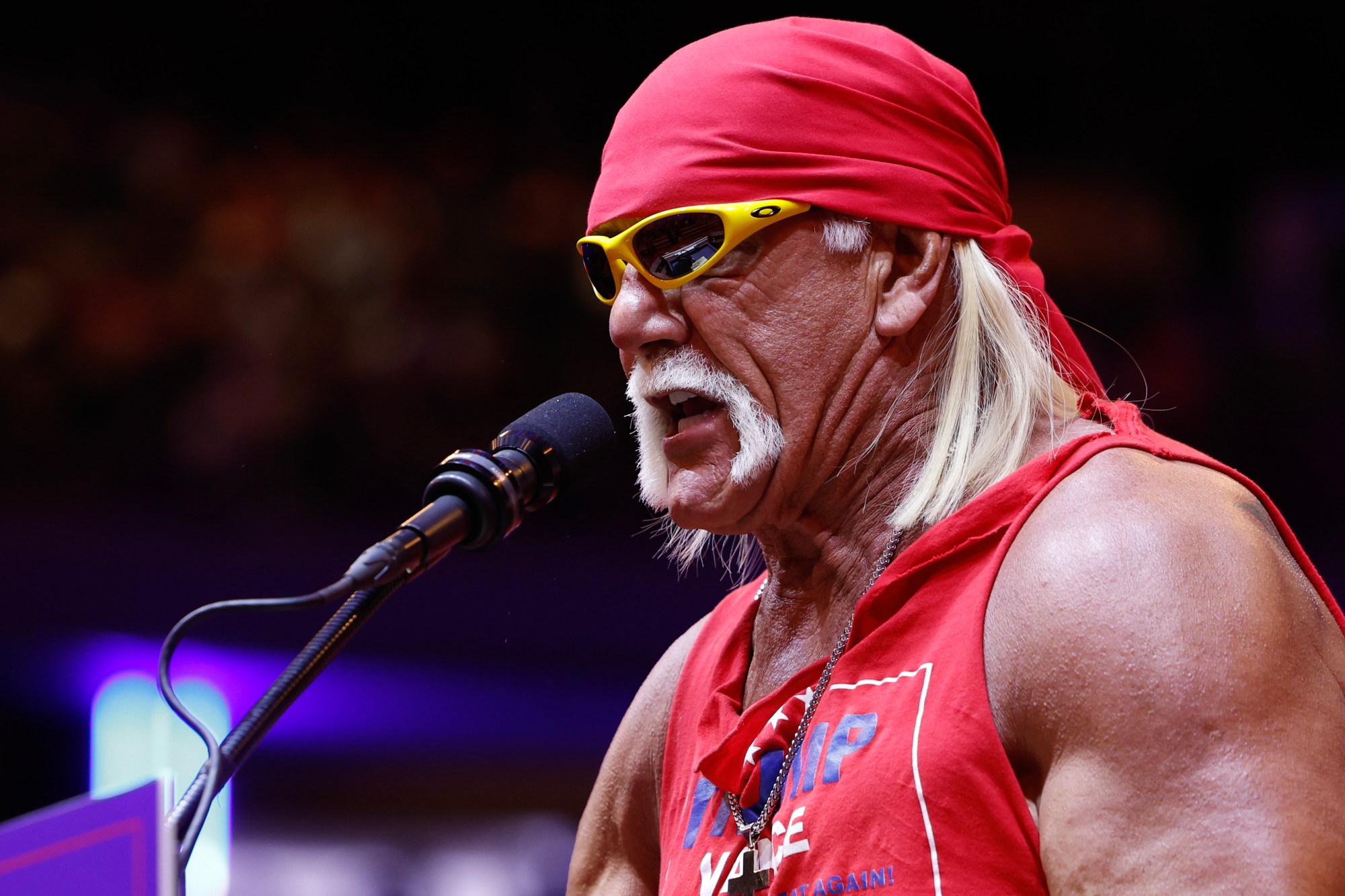 How Much Was Hulk Hogan Worth When He Passed Away